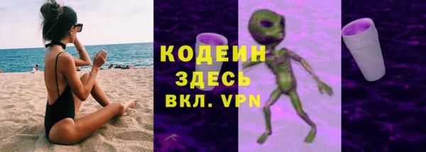 прущие грибы Карталы