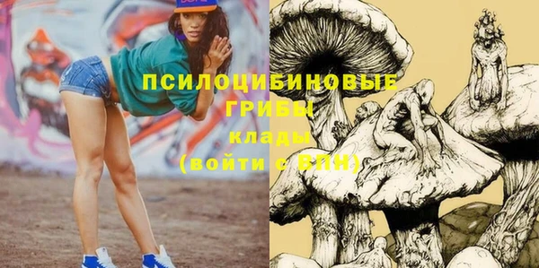 МДПВ Карпинск