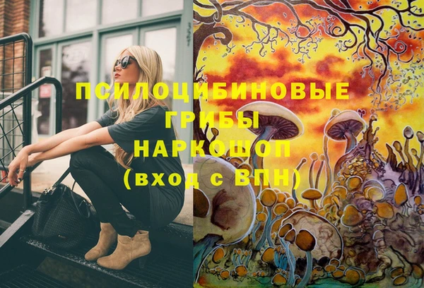 прущие грибы Карталы