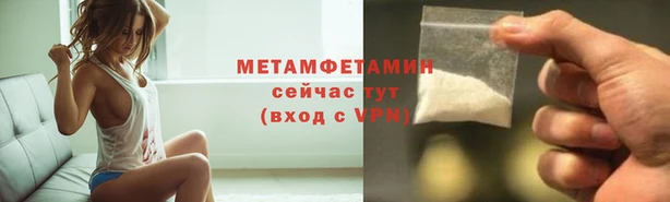 прущие грибы Карталы