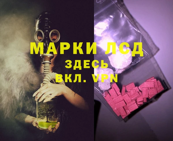 прущие грибы Карталы