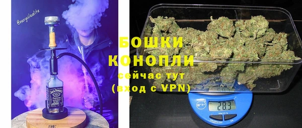 МДПВ Карпинск