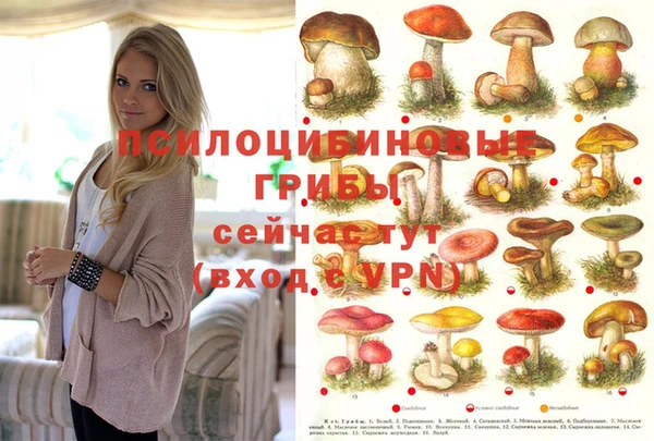 МДПВ Карпинск