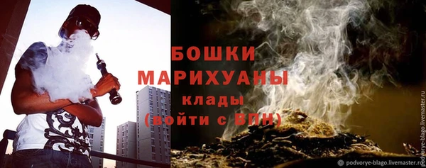 прущие грибы Карталы