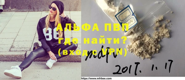 прущие грибы Карталы