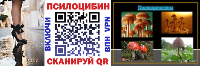 Купить где  Узловая  Псилоцибиновые грибы Cubensis 